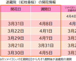 開花情報2025